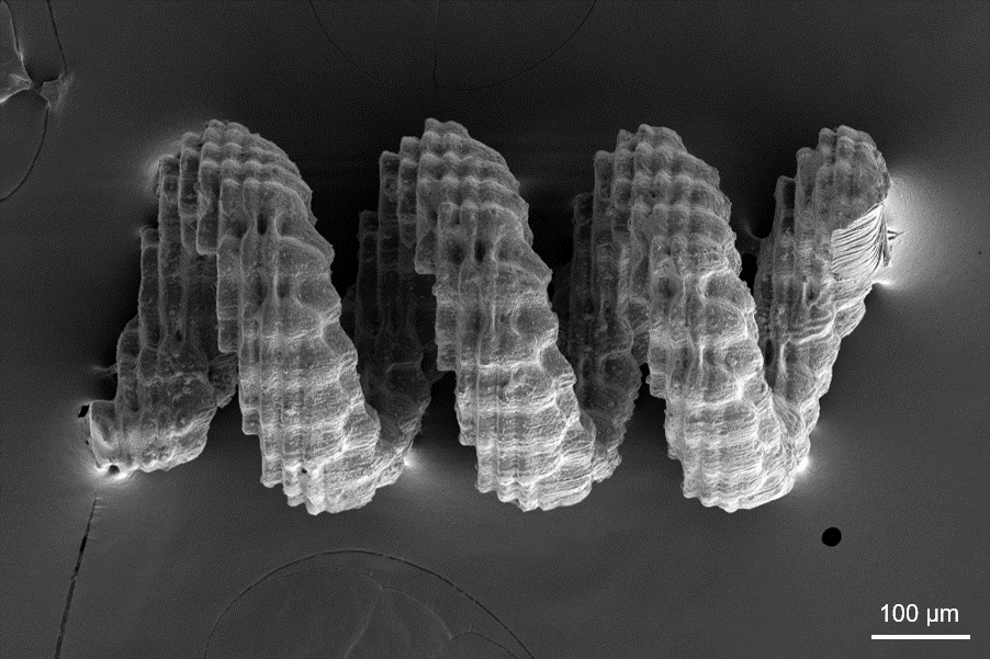 Electron microscopy image of helical 3D-printed structure.